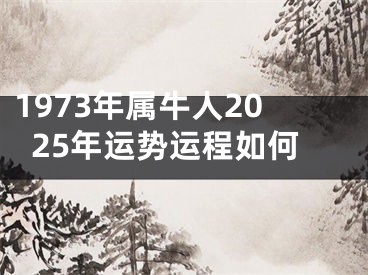 1973年属牛人2025年运势运程如何