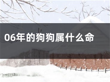 06年的狗狗属什么命