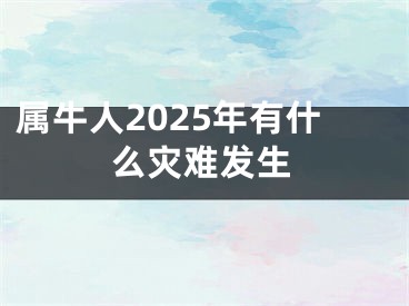 属牛人2025年有什么灾难发生