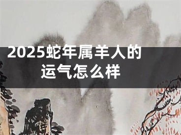 2025蛇年属羊人的运气怎么样 
