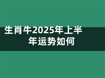 生肖牛2025年上半年运势如何