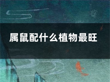 属鼠配什么植物最旺
