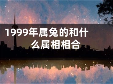 1999年属兔的和什么属相相合