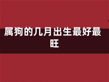 属狗的几月出生最好最旺