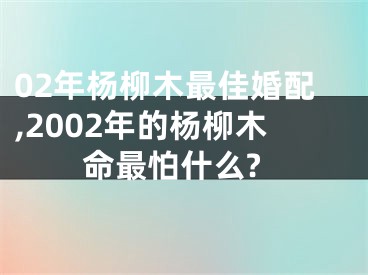 02年杨柳木最佳婚配,2002年的杨柳木命最怕什么?