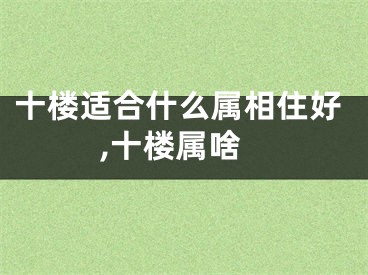 十楼适合什么属相住好,十楼属啥