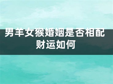 男羊女猴婚姻是否相配财运如何