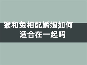 猴和兔相配婚姻如何 适合在一起吗
