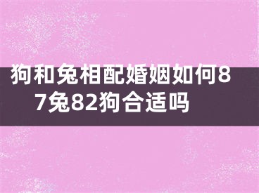 狗和兔相配婚姻如何87兔82狗合适吗