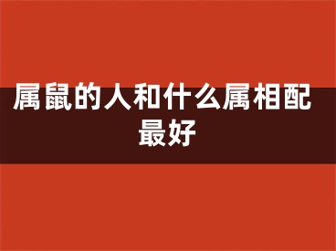 属鼠的人和什么属相配最好