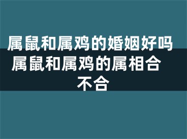 属鼠和属鸡的婚姻好吗 属鼠和属鸡的属相合不合
