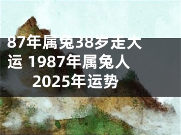 87年属兔38岁走大运 1987年属兔人2025年运势