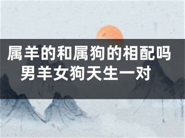 属羊的和属狗的相配吗 男羊女狗天生一对