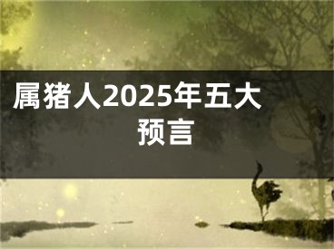 属猪人2025年五大预言