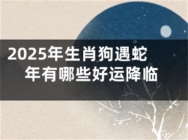 2025年生肖狗遇蛇年有哪些好运降临