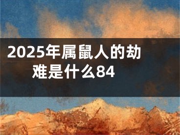 2025年属鼠人的劫难是什么84 
