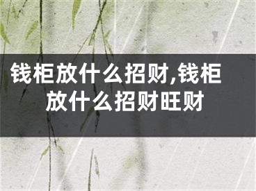 钱柜放什么招财,钱柜放什么招财旺财