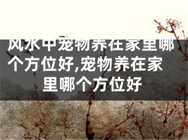 风水中宠物养在家里哪个方位好,宠物养在家里哪个方位好