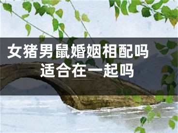 女猪男鼠婚姻相配吗 适合在一起吗