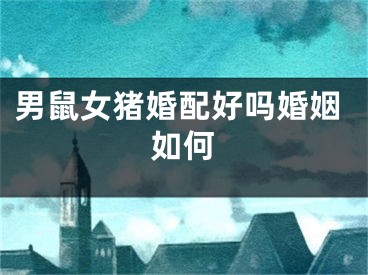 男鼠女猪婚配好吗婚姻如何