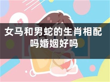女马和男蛇的生肖相配吗婚姻好吗