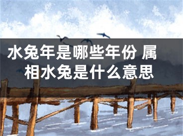 水兔年是哪些年份 属相水兔是什么意思