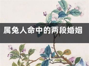属兔人命中的两段婚姻