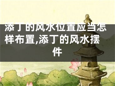 添丁的风水位置应当怎样布置,添丁的风水摆件