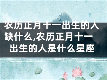 农历正月十一出生的人缺什么,农历正月十一出生的人是什么星座