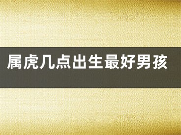 属虎几点出生最好男孩