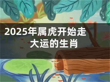 2025年属虎开始走大运的生肖