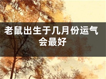 老鼠出生于几月份运气会最好