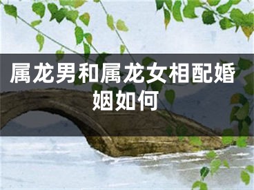 属龙男和属龙女相配婚姻如何