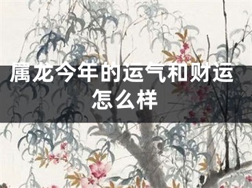 属龙今年的运气和财运怎么样