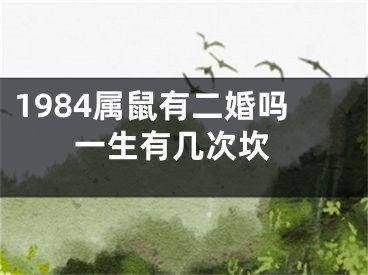 1984属鼠有二婚吗 一生有几次坎