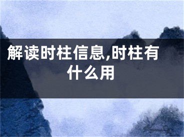 解读时柱信息,时柱有什么用