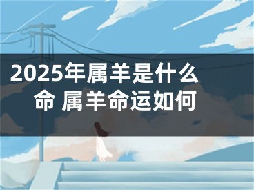 2025年属羊是什么命 属羊命运如何