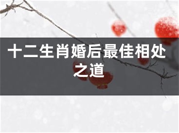 十二生肖婚后最佳相处之道