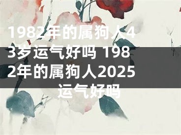 1982年的属狗人43岁运气好吗 1982年的属狗人2025运气好吗