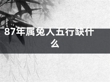 87年属兔人五行缺什么