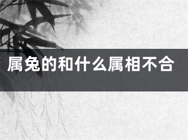 属兔的和什么属相不合
