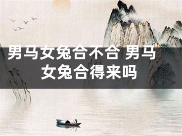 男马女兔合不合 男马女兔合得来吗