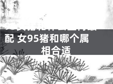95女猪和什么生肖最配 女95猪和哪个属相合适