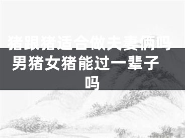 猪跟猪适合做夫妻俩吗 男猪女猪能过一辈子吗
