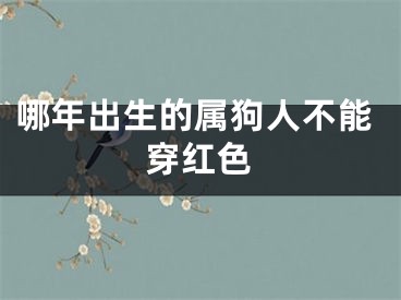 哪年出生的属狗人不能穿红色