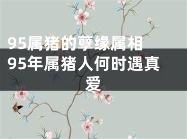 95属猪的孽缘属相 95年属猪人何时遇真爱