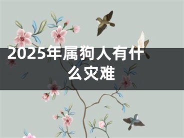 2025年属狗人有什么灾难