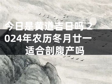 今日是黄道吉日吗 2024年农历冬月廿一适合剖腹产吗