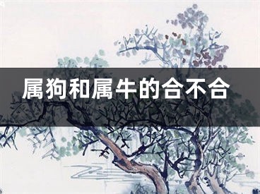 属狗和属牛的合不合