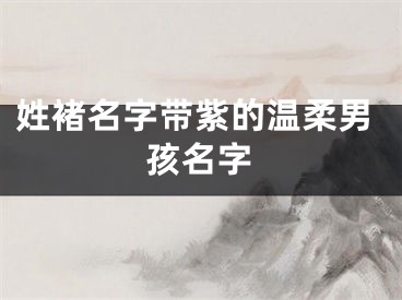 姓褚名字带紫的温柔男孩名字